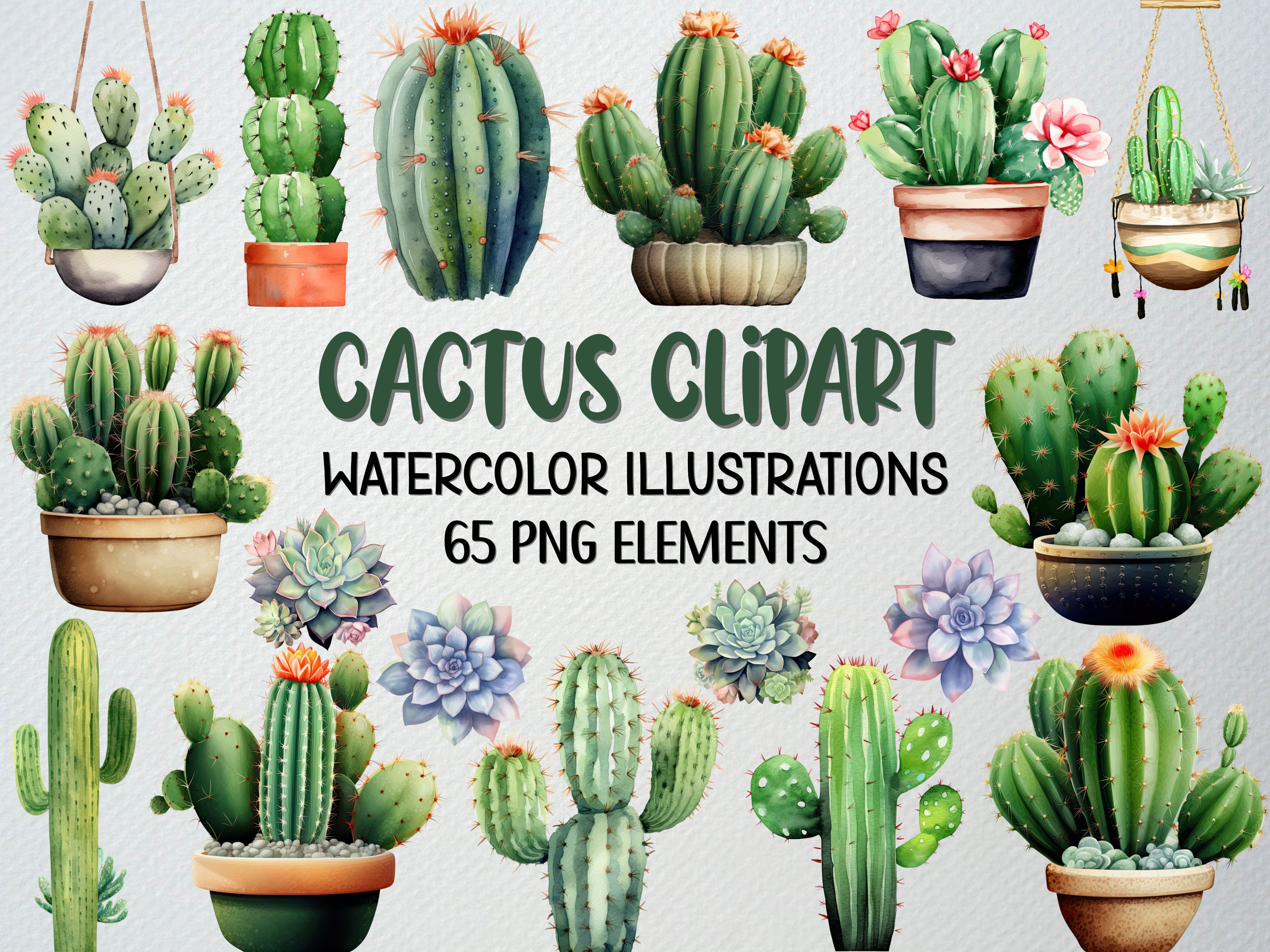 Watercolor Cactus Clipart Set of 65 PNG