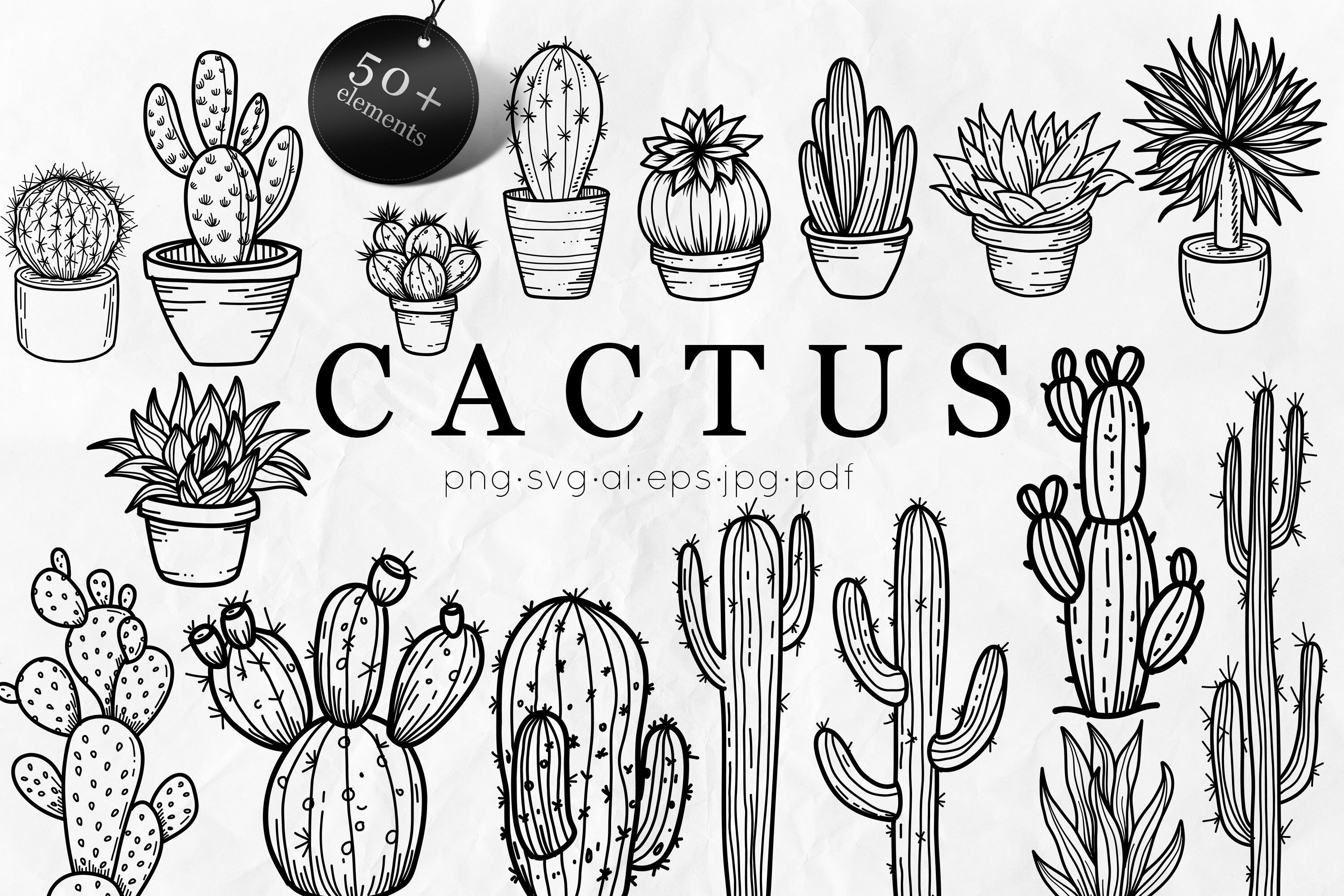 Cactus SVG Bundle | Succulent Line Art